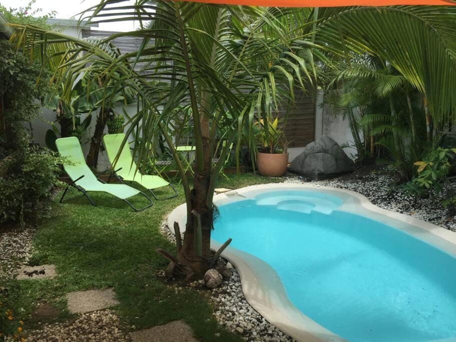 Le Nid D'Amour Avec Sa Piscine Et Jacuzzi Chauffes Saint-Joseph Exterior photo